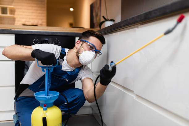 Flea Control Services in Andover, MN