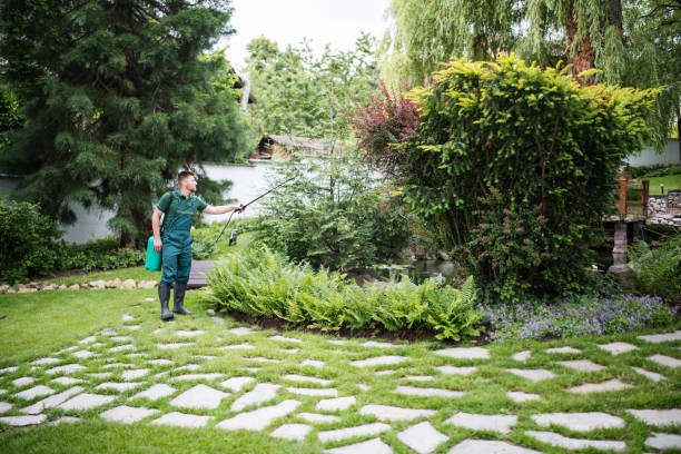 Best Pest Control Cost  in Andover, MN