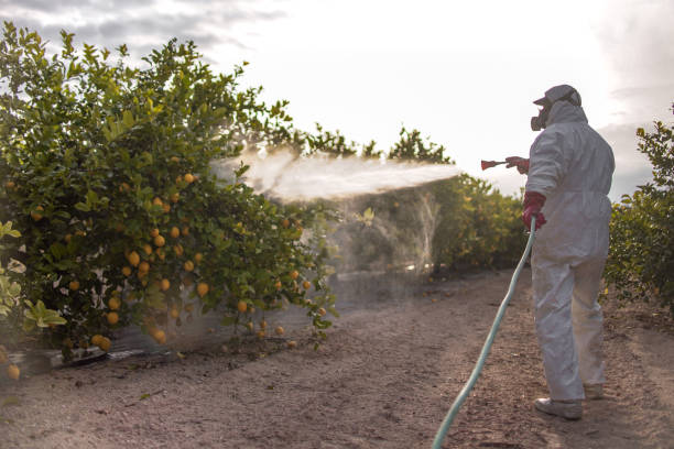 Best Pest Inspection Near Me  in Andover, MN
