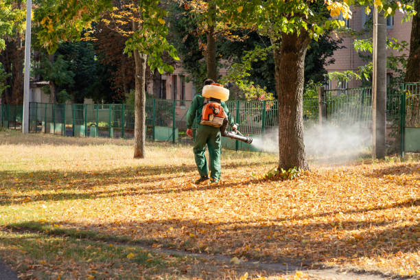 Insect Control in Andover, MN