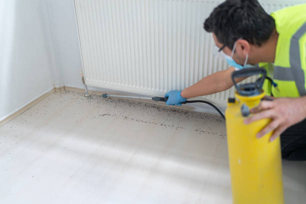 Best Commercial Pest Control Services  in Andover, MN